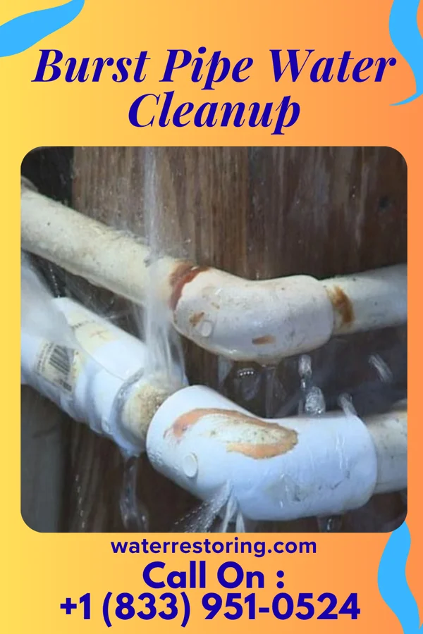 Burst Pipe Water Cleanup in Yorkville, TN