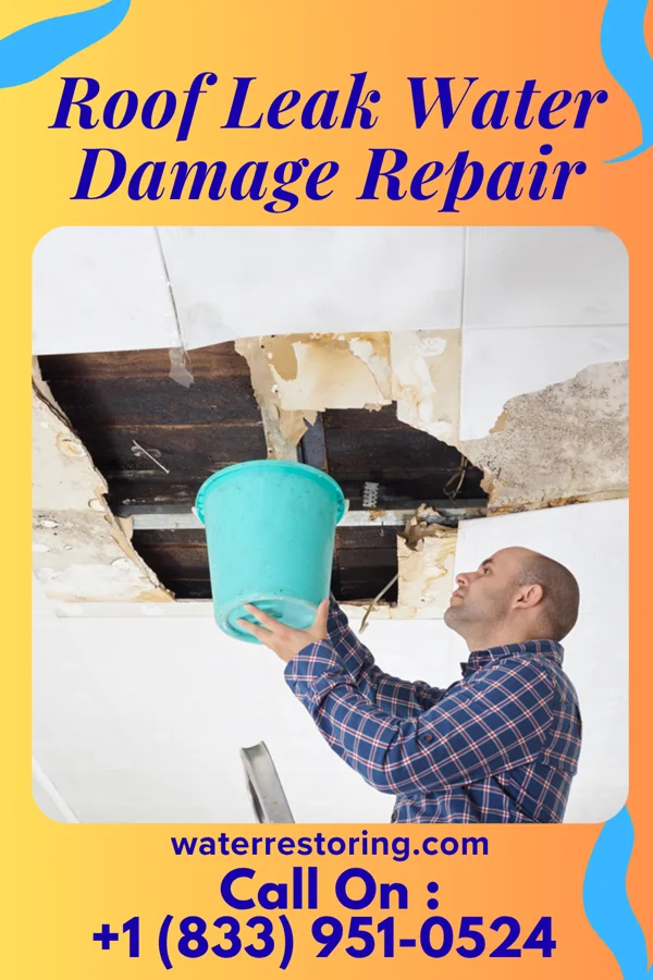 Roof Leak Water Damage Repair in Yorkville, TN