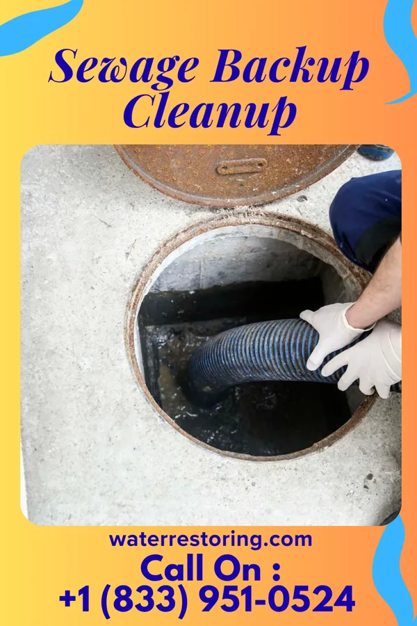 Sewage Backup Cleanup in Yorkville, TN