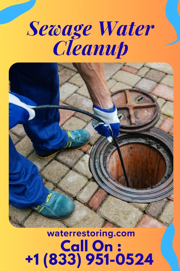 Sewage Water Cleanup in Yorkville, TN